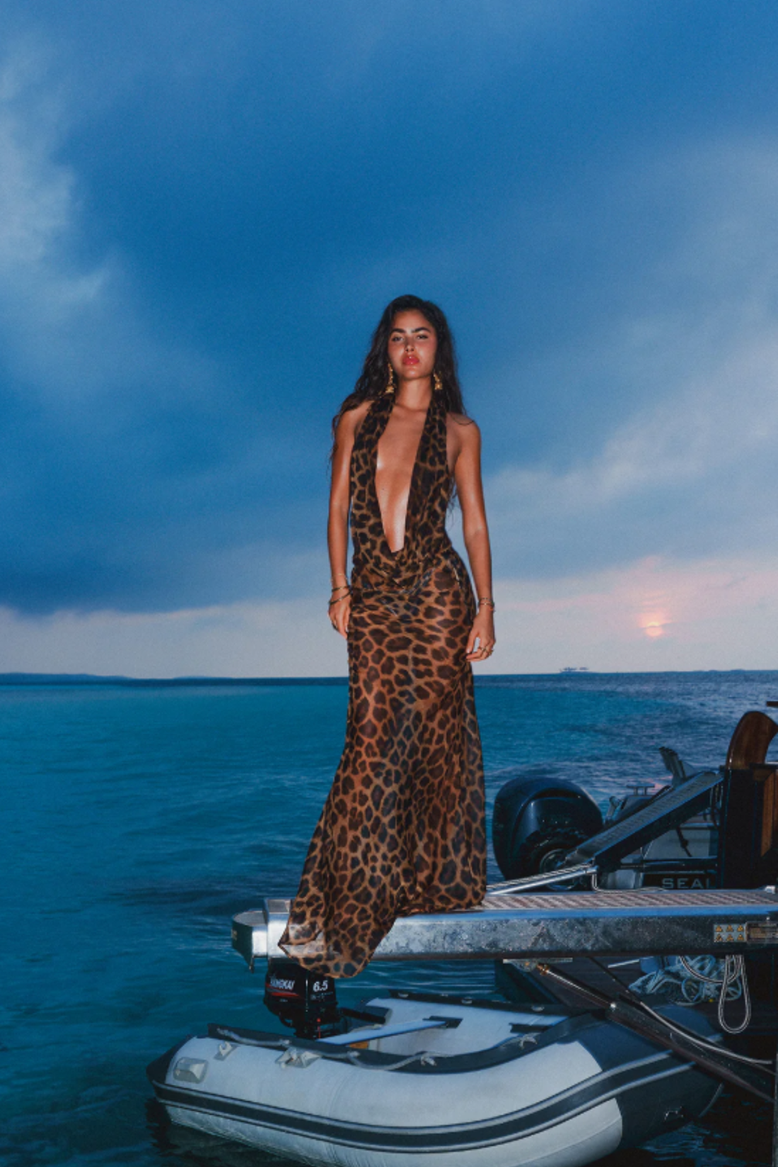 Hire JANTHEE Mona Dress in Leopard Sheer